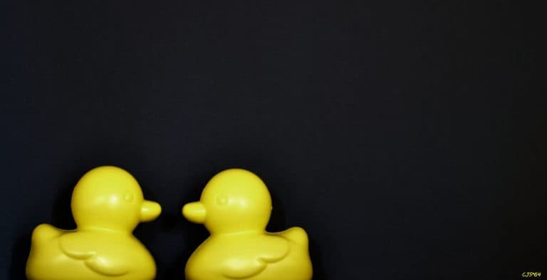De Steunstichting van de Vereniging tegen de Kwakzalverij De Steunstichting van de Vereniging tegen de Kwakzalverij