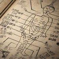Internationale bijeenkomst over Traditional Chinese Medicine in Nederland Internationale bijeenkomst over Traditional Chinese Medicine in Nederland