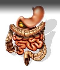 Colonhydrotherapie of darmspoeling is onzin Colonhydrotherapie of darmspoeling is onzin