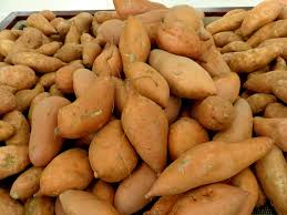 Werkt het eten van wilde yam (Dioscorea villosa)? Werkt het eten van wilde yam (Dioscorea villosa)?