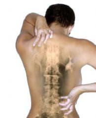 Chiropractor uit Noordwijk laat neurowereld duizelen Chiropractor uit Noordwijk laat neurowereld duizelen