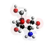 Glucosamine en de Kringapotheek Glucosamine en de Kringapotheek