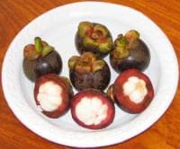 Wonderfruit mangistan of mangosteen Wonderfruit mangistan of mangosteen